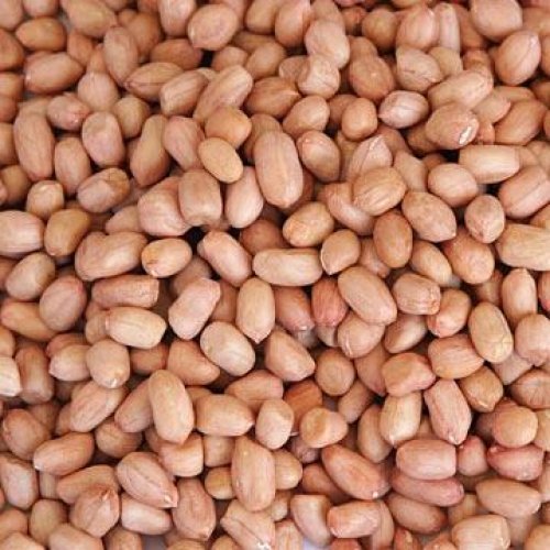 Raw Peanuts 50kg