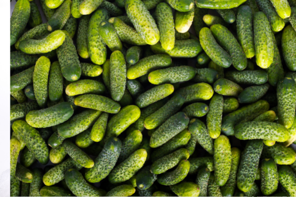 Gherkins 760g